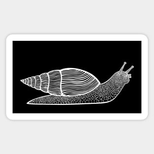 Giant African Land Snail - cute and fun animal design Sticker